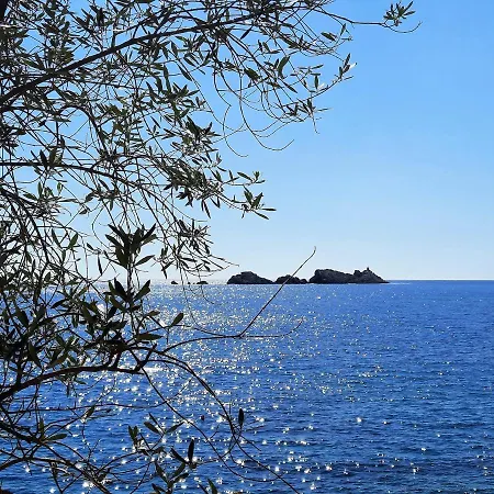 Blue Promenade Dubrovnik